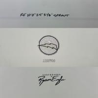 【中古 EPS　サンダーボルト 】 CJ NELSON   10'0"SPROUT ※送料は別途負