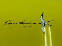 【中古 EPS モールド 】　H P D    IN THE PINK   9'3" 送料は別途